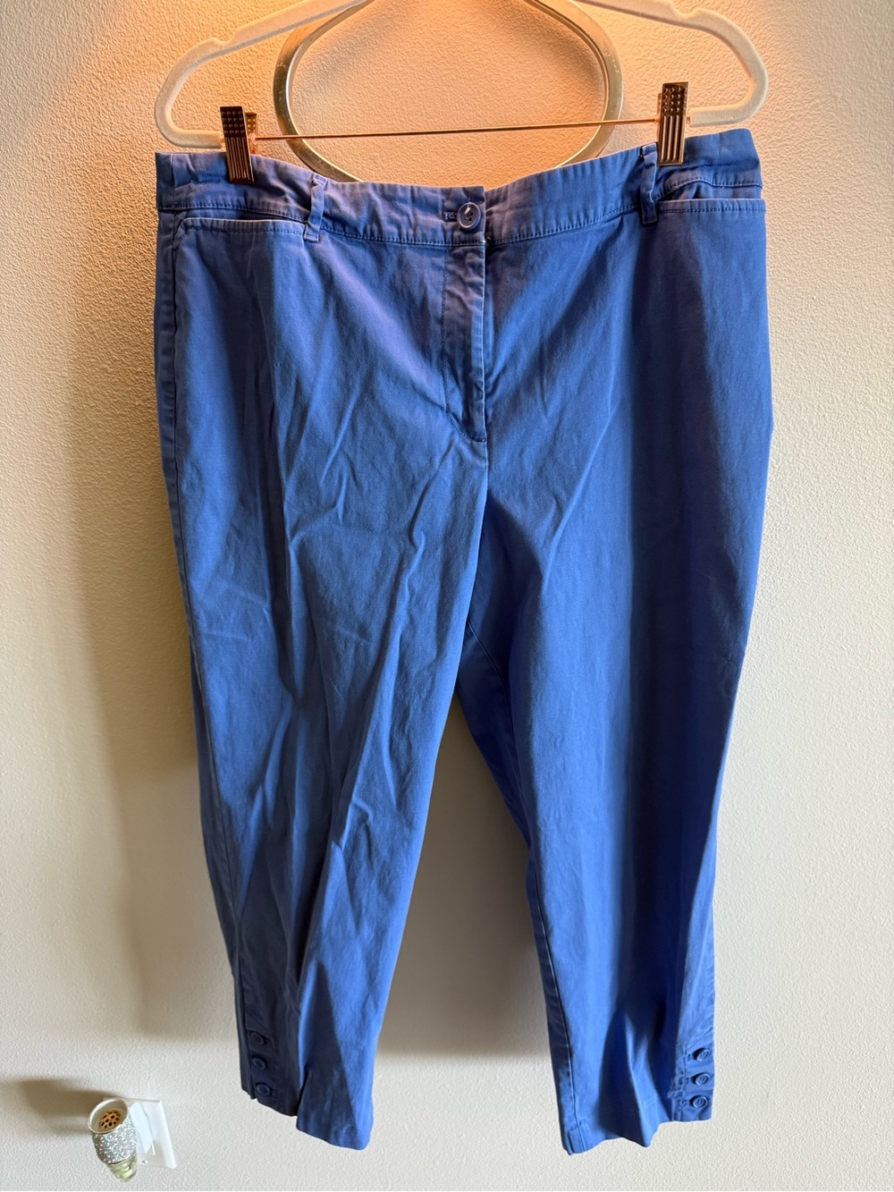 Talbots Perfect Crop Cobalt Blue Casual Ankle Pants